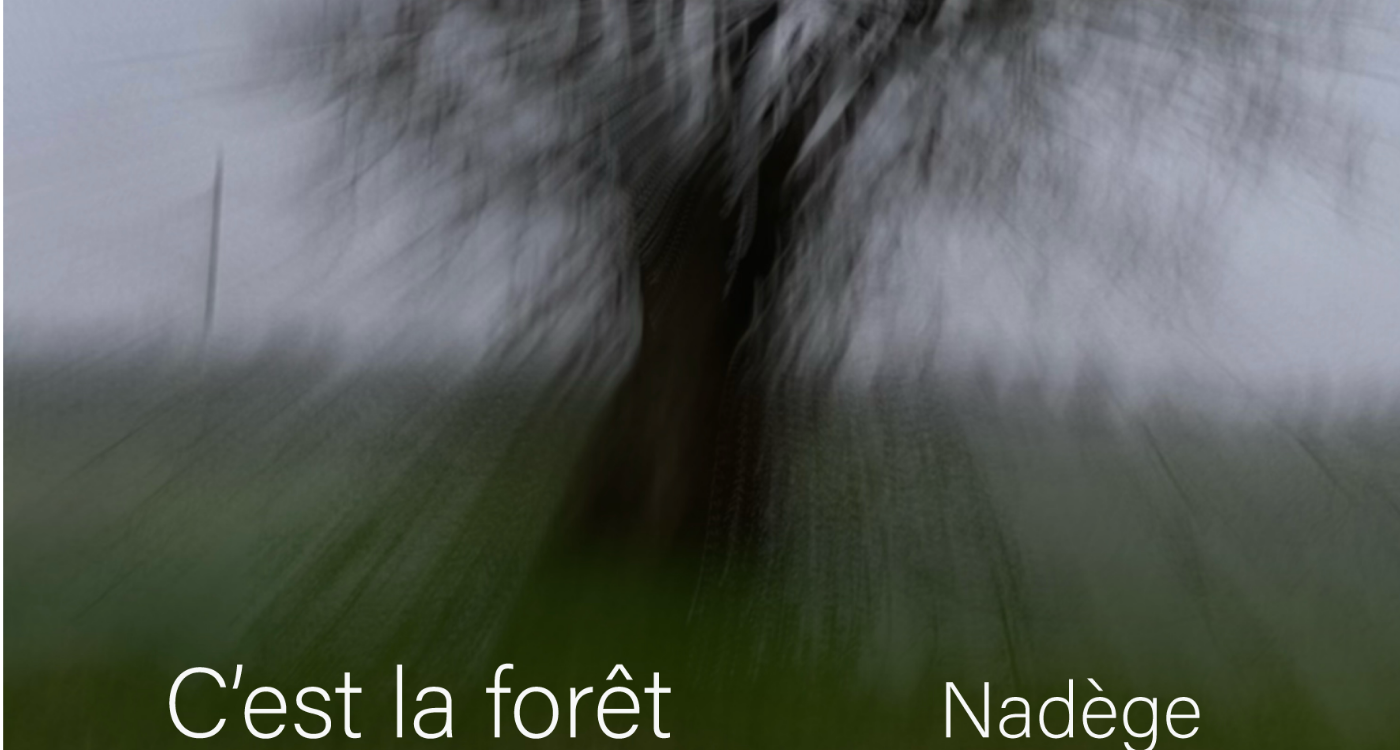 img20251106141425339183.png