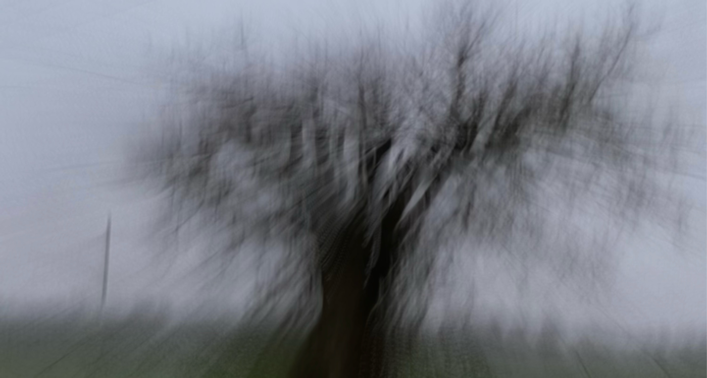 img20260122144641320066.png